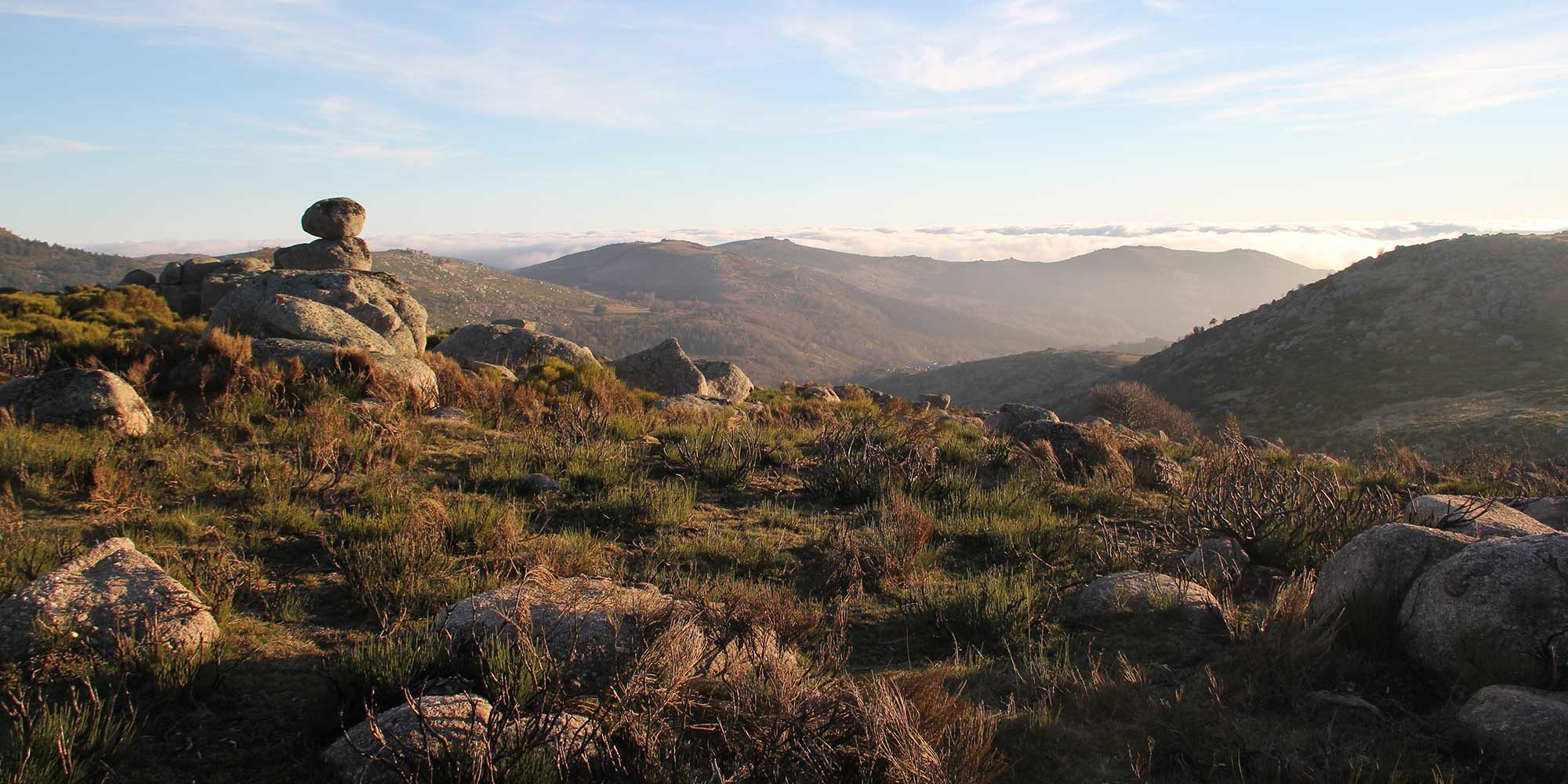 PF_region_002_mont-lozere